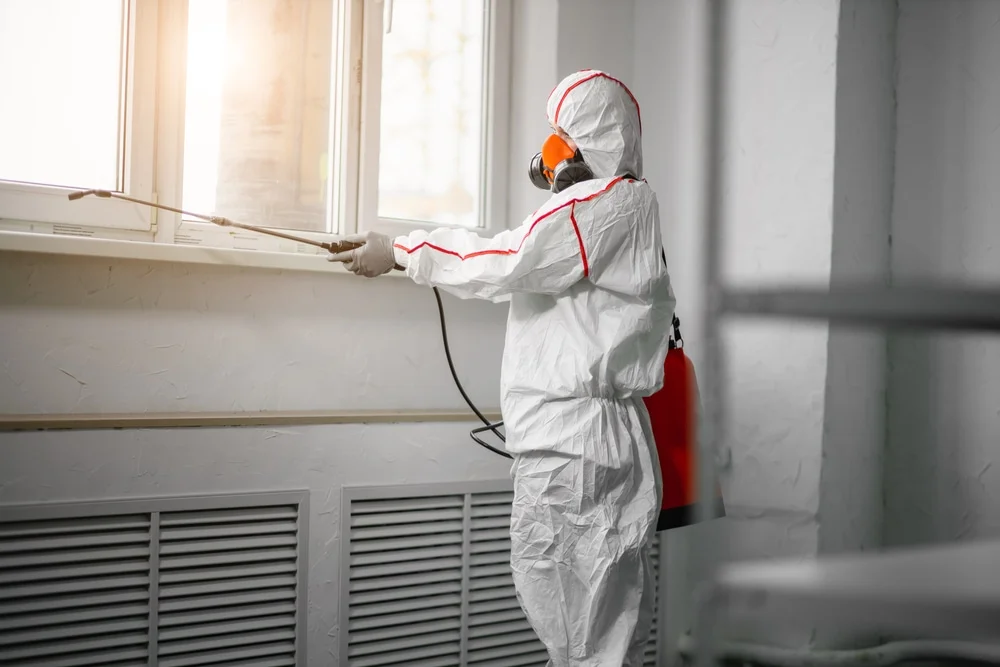 Professional mold remediation services in Slinger, WI